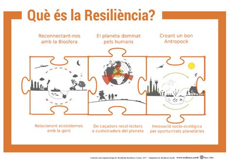 ejemplos del uso de la resiliencia